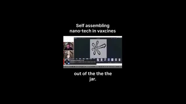 Self-Assembling Nanotechnology in Vaccines What Could Be Hiding at the Microscopic Level