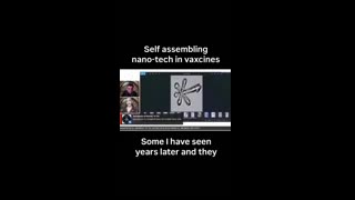 Self-Assembling Nanotechnology in Vaccines What Could Be Hiding at the Microscopic Level
