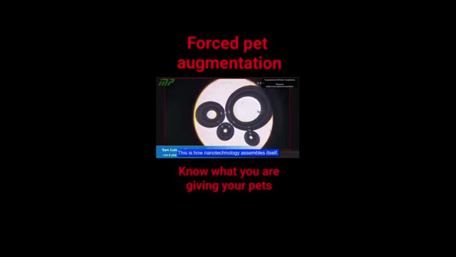 mRNA in Animals Could Genetic Technology Make Our Pets Turn Against Us