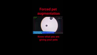 mRNA in Animals Could Genetic Technology Make Our Pets Turn Against Us