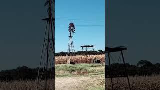 Would YOU visit this TERRIFYING location?! ???? #haunted #horror #horrormovie #scary #paranormal #fi